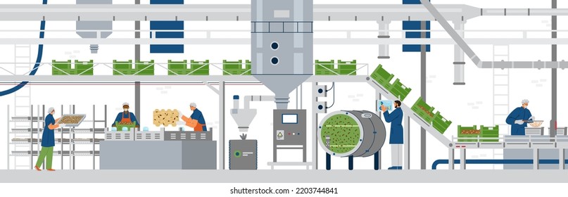 Automated bug farm interior with workers flat vector illustration. Insect farming equipment, conveyor, boxes, pipes.