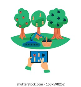 Automated harvest robot gathering fruit from trees controlled by tablet app. Smart farming robotic machine with claw counting ripe fruit - flat isolated vector illustration.