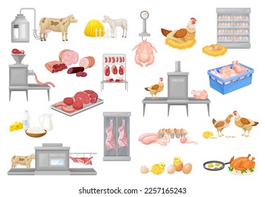 Automated Meat Production Process with Equipment and Beef and Chicken Product Big Vector Set