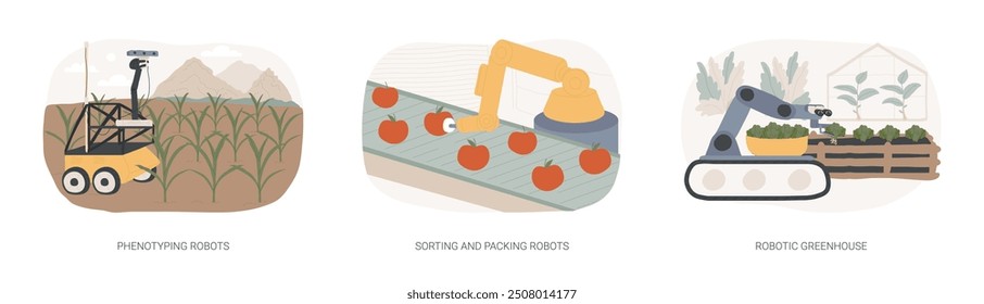 Automation in agriculture isolated cartoon vector illustrations set. Phenotyping robots in farming industry, sorting and packing robots, robotic greenhouse smart cultivation process vector cartoon.