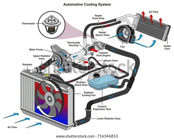 Automotive Cooling System Infographic Diagram Showing Stock Vector