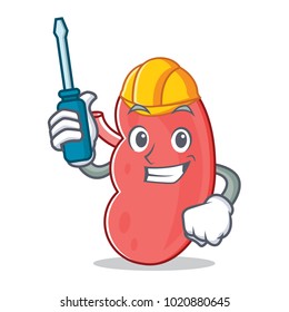 Automotive kidney mascot cartoon style