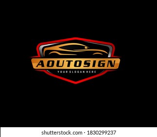 automotive modification and service .Auto detailing logo concept