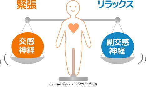 Autonome Nervendiagrammgrafik des menschlichen Körpers, Übersetzung:Sympathischer Nerv, parasympathischer Nerv, Entspannung und Spannung