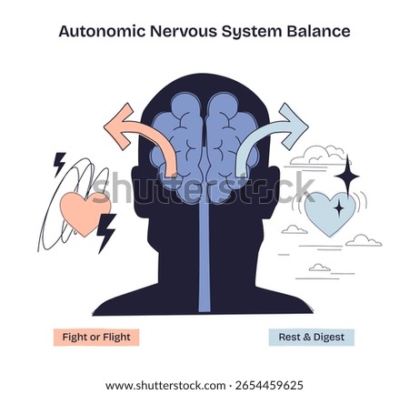 Autonomic Nervous System Balance is shown with a brain, arrows, and hearts, illustrating fight or flight vs rest and digest. Doodle style diagram