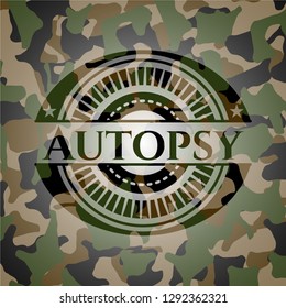 Autopsy on camouflaged texture