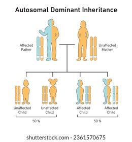 Autosomal Dominant Inheritance Concept Design. Vector illustration.