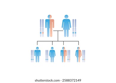 Autosomal Dominant Inheritance Science Design. Vector Illustration.