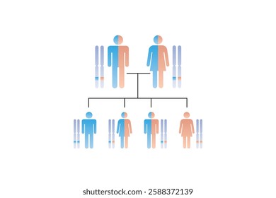 Autosomal Recessive Inheritance Science Design. Vector Illustration.