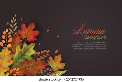 Autum leaves background in brown with colorful group of falling leaves in lower left and copyspace of text area.