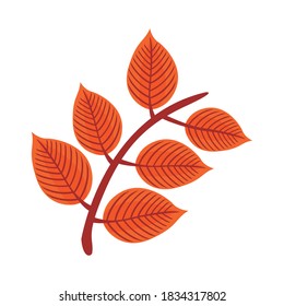 Herbstblatt-Flach-Symbol Vektorgrafik-Design