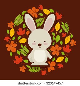 autum season design, vector illustration eps10 graphic 