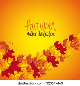 autum season design, vector illustration eps10 graphic 