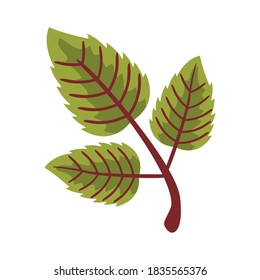 autum serrateds hojas estilo plano icono ilustración vectorial diseño