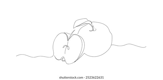 Autum and thanksgiving concept. Apple continuous one line drawing, single line art element, minimalist sketch line vector illustration. Hand made vector not AI.