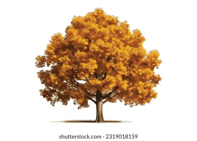autum tree flat vector  illustration