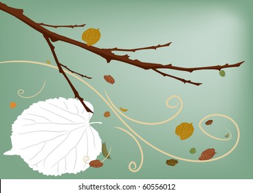 Autumn