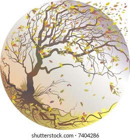 Autumn