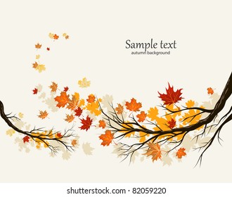 Autumn