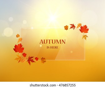 Autumn abstract backdrop design on bokeh autumn background, eps 10 Vector design.

