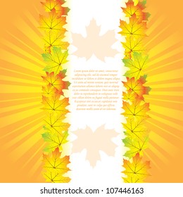 Autumn abstract background