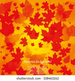 Autumn abstract background