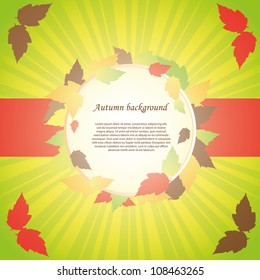 Autumn abstract background