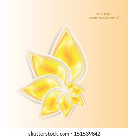 Autumn abstract  background