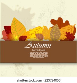 Autumn abstract background. 