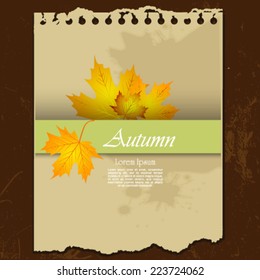 Autumn abstract background. 