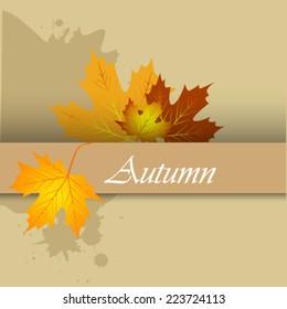 Autumn abstract background. 