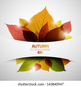 Autumn abstract background with colorful leafs and place for your text