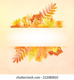 Autumn abstract background with colorful leafs and place for your text. EPS10