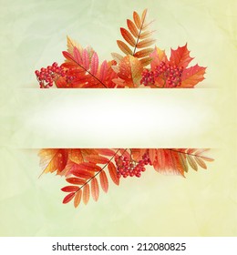 Autumn abstract background with colorful leafs and place for your text. EPS10