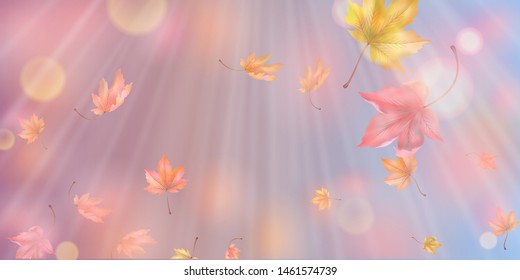 Autumn abstract background with falling maple leaves