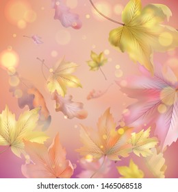 Autumn abstract background with falling maple and oak leaves