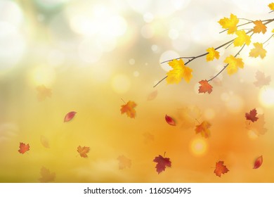 Autumn abstract background. Autumn falling red, yellow, orange, brown leaves on bright background. Vector autumnal foliage fall of maple leaves. Design concept for seasonal holiday greeting card