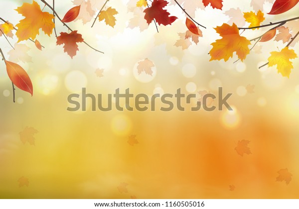 秋の抽象的背景 明るい背景に秋の落ちる赤 黄色 オレンジ 茶色の葉 紅葉のベクター画像 季節のホリデーグリーティングカードのデザインコンセプト のベクター画像素材 ロイヤリティフリー
