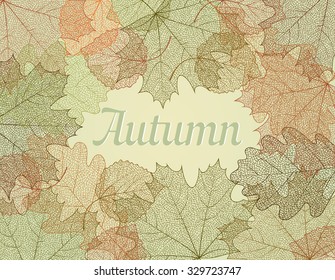 Autumn abstract background with hand drawn autumn leaves. Autumn skeletal leaves on green background. Design elements. Vector illustration.