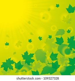 Autumn abstract background with leaf