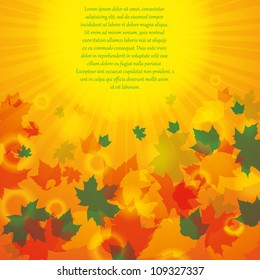 Autumn abstract background with leaf