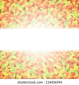 Autumn abstract background with leaf