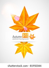 Autumn abstract background with a maple sheets