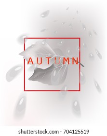 Autumn abstract background with rain drops and red frame. Vector illustration