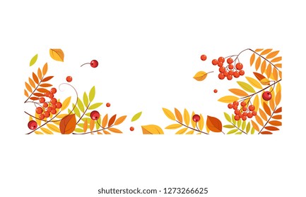 Autumn abstract background with space for text, banner with bright autumn rowan leaves vector Illustration