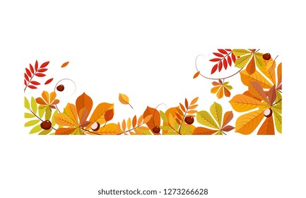 Autumn abstract background with space for text, banner with bright autumn leaves vector Illustration