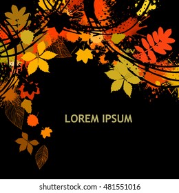 Autumn abstract background. Vector