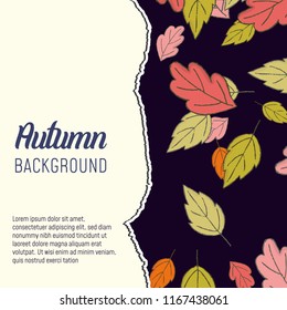 Autumn abstract background. Vector illustration