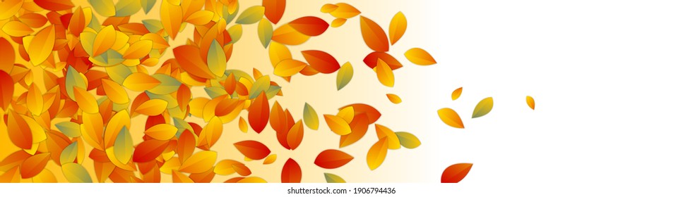 Autumn abstract banner design with colorful leaves. Vector natural background