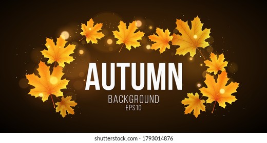 Autumn abstract banner of orange maple leaves. Fall festive template for your design. Abstract golden lights bokeh. Seasonal cover. Vector illustration. EPS 10.